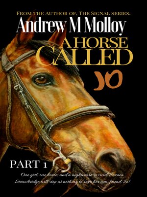 cover image of A Horse Called Jo